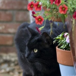 Meet your Posher, Tracy